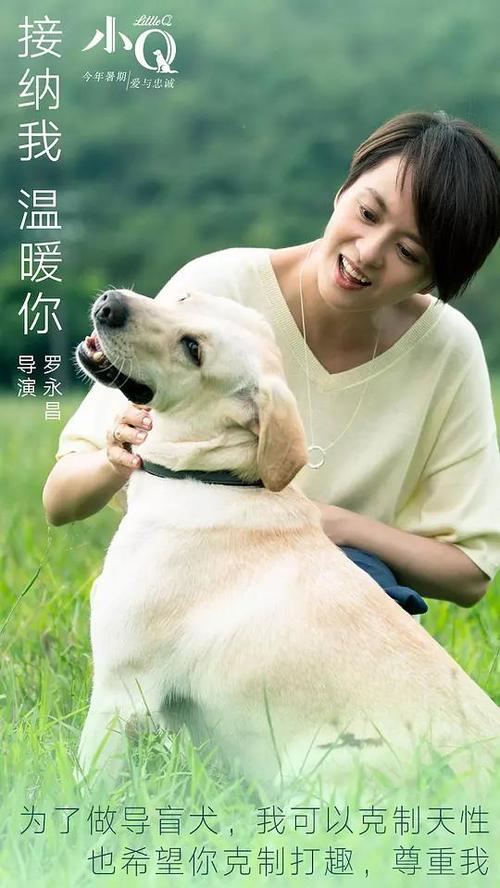 意大利驾照样本买个多少钱